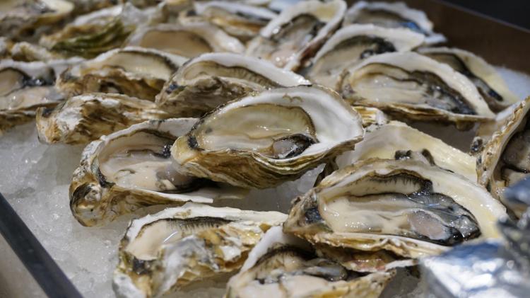 厦门咖啡馆老字号,厦门值得探店的咖啡店