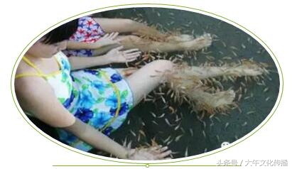 大午前世今生,大午温泉改成什么名字了