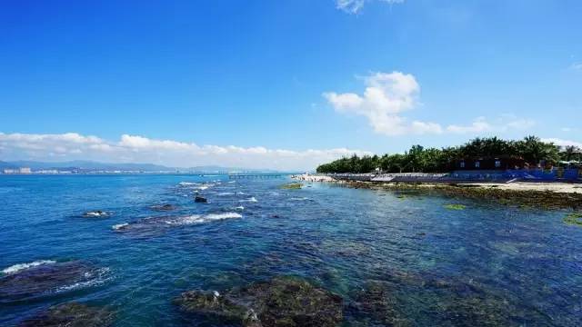 三亚潜水避坑攻略,三亚潜水新技巧