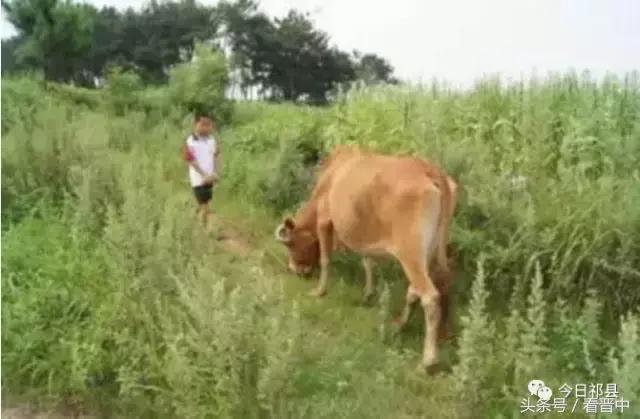 榆次老城童年回忆,榆次童年的味道