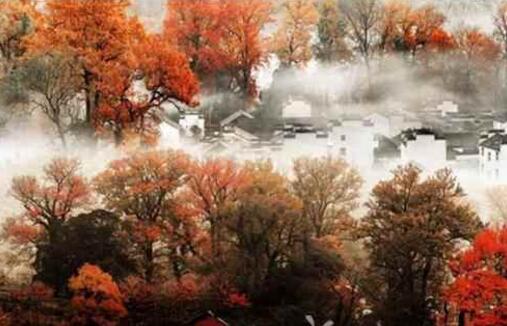 根除烦恼的6个经典方法,根除烦恼的秘诀全文