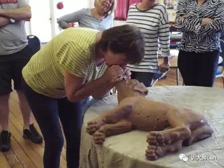 如果被狗狗袭击该怎么办,如果被狗狗轻微咬伤会怎么样