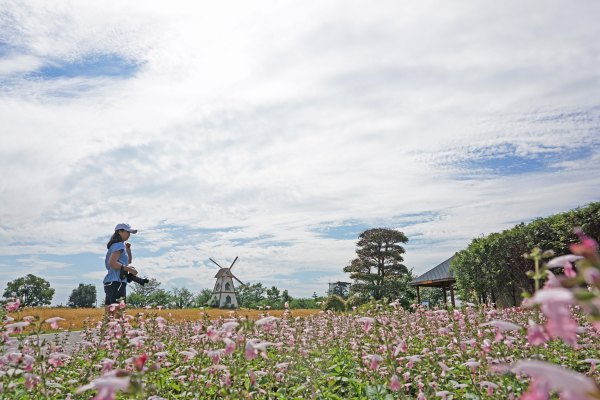 浙江嘉善大云旅游,嘉善大云周末玩的地方推荐