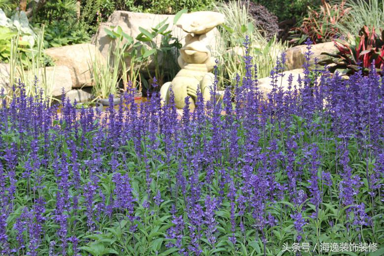 好望山别墅装修,海逸装修效果图
