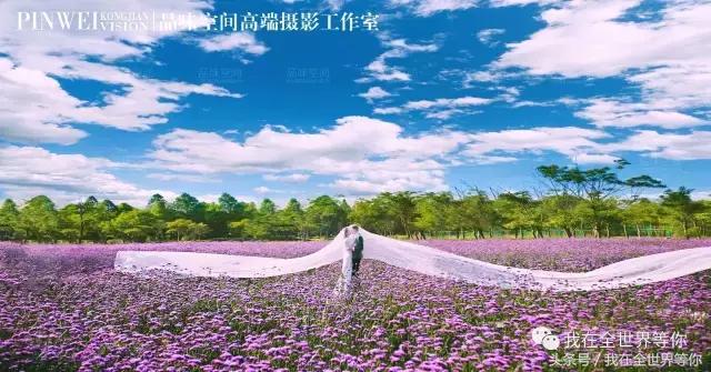 北京拍婚纱照最佳地方,北京拍婚纱照的好地方