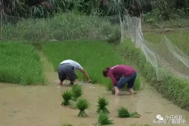 榆次老城童年回忆,榆次童年的味道