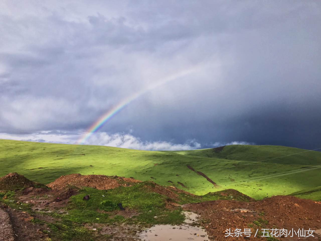 太漂亮成网红,说自己很漂亮的网红