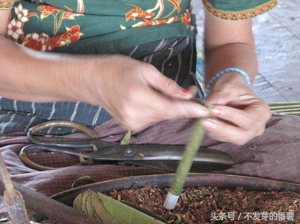 缅甸女子卷手工烟赚钱养家，每天收入10000缅元