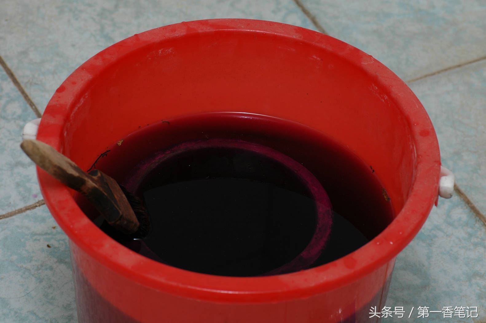 颗粒植料上盆养兰视频,滇西养兰人讲兰花上盆