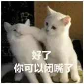 抗痘不走弯路音乐,抗痘不走弯路