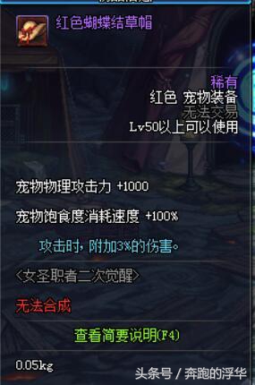 dnf萌萌宠物,dnf女圣职者诱魔者二觉