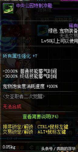 dnf萌萌宠物,dnf女圣职者诱魔者二觉