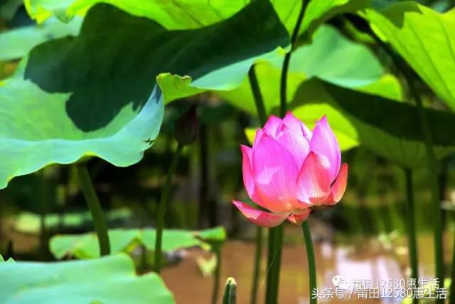 莆田避暑休闲的地方,十二星座必去的旅游地