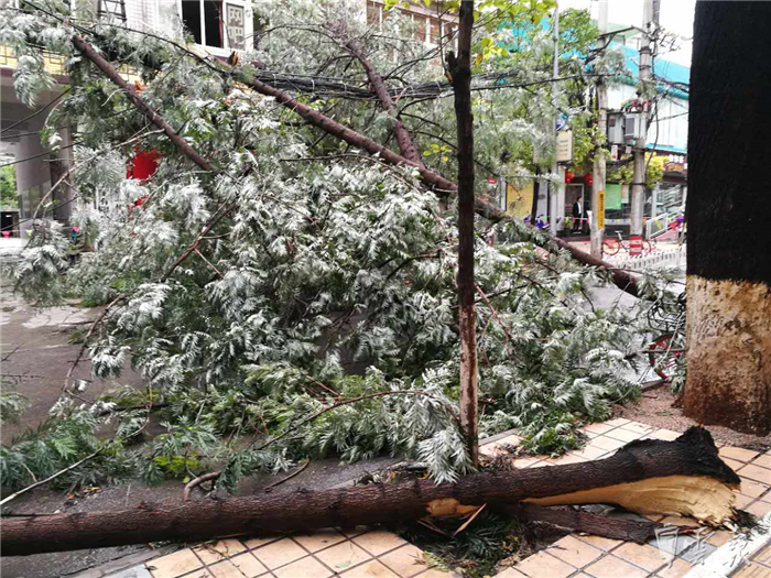 鏆撮洦琚煄韬奖瑙嗛,鏆撮洦琚煄杞﹁締琛屼汉瑙嗛