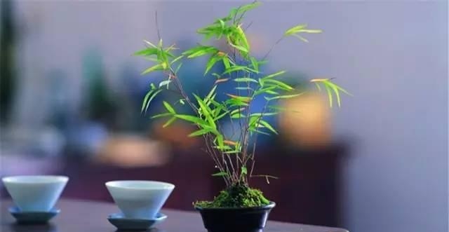 一个悟字,一个悟字有什么寓意