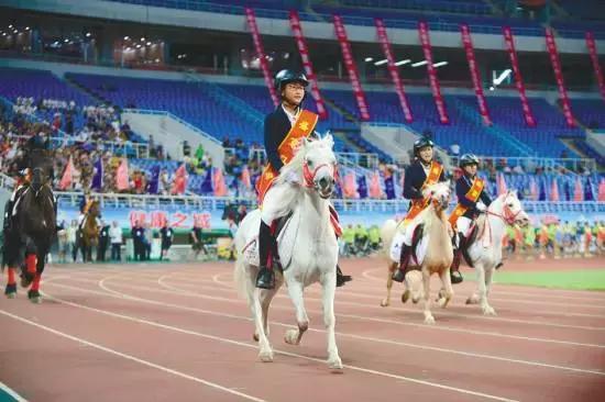 2025沈阳全国冬季运动会,沈阳市2019沈河区运动会