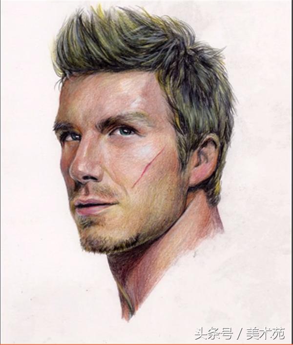 大卫贝克汉姆素描教程,彩铅画教程简单初学者向日葵