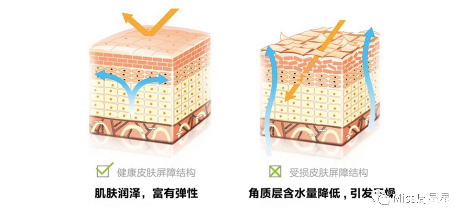 宋慧乔同款水乳精华一体,宋慧乔保湿大法大放送