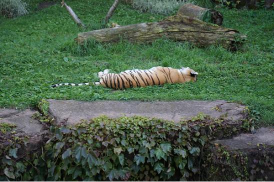 林肯公园是什么时候出名的,为什么叫林肯公园名字