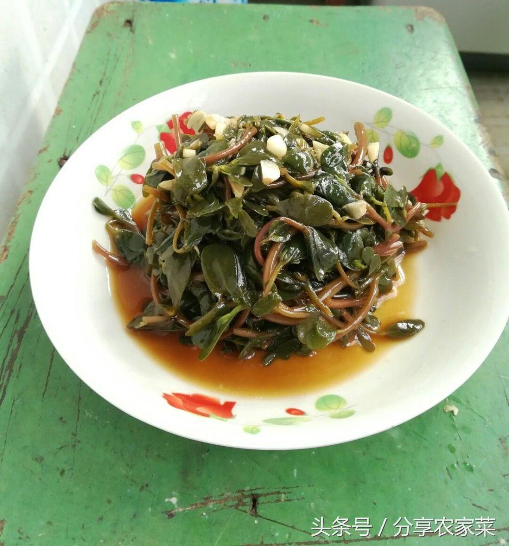 凉拌马齿苋饼,凉拌马齿苋的做法