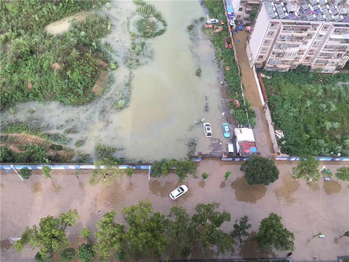 鏆撮洦琚煄韬奖瑙嗛,鏆撮洦琚煄杞﹁締琛屼汉瑙嗛