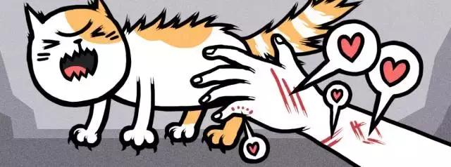 撸猫需谨慎正确亲密接触猫主子,撸猫的时候猫咪是怎么想的