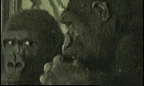 丈母娘您好，您的女儿我已经预定了