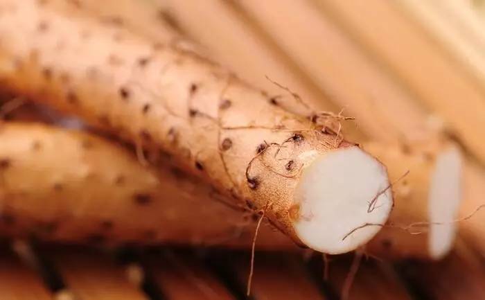 营养最全的五谷杂粮馒头配方比例,五谷杂粮窝料配方全套制作方法