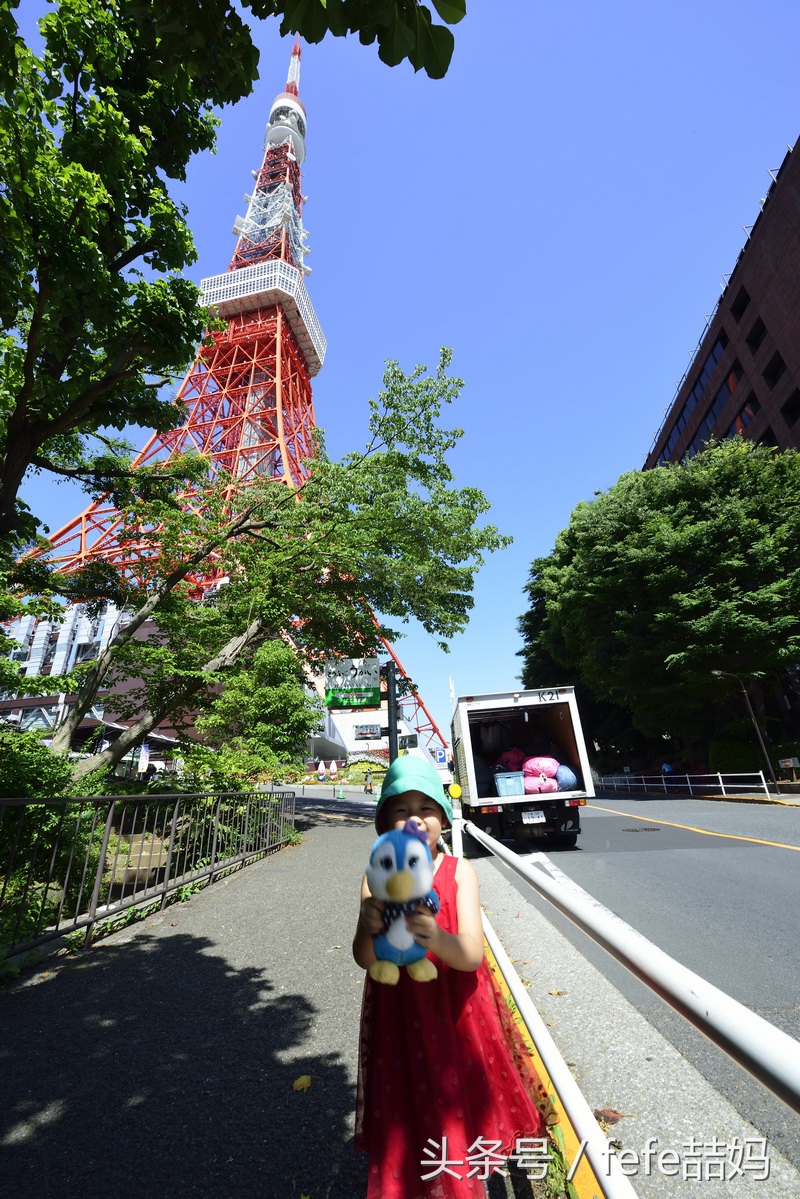 丽星邮轮日本游攻略视频,丽星邮轮厦门启程日本旅游