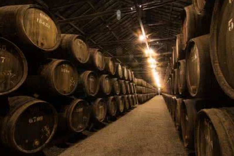 怎么判断红酒有没有陈年潜质,帕特加斯d4陈年潜质