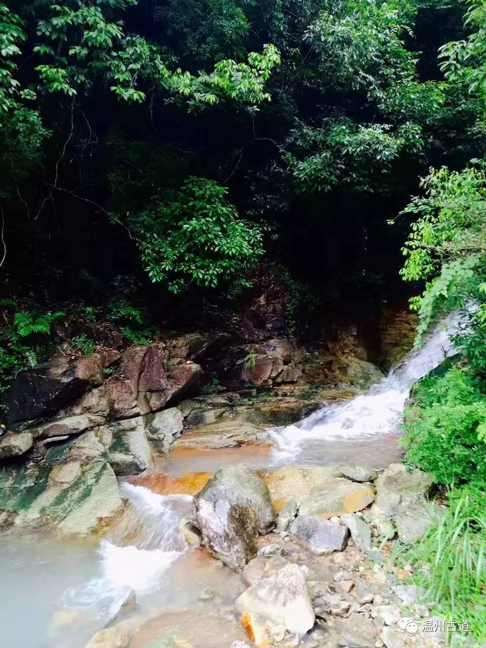 文成县珊溪水库地图,正宗文成珊溪水库有机鱼