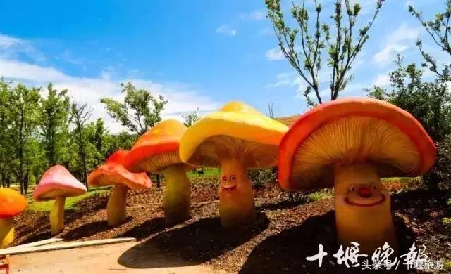 子胥湖欢乐嘉年华夜场电话,子胥湖欢乐嘉年华门票