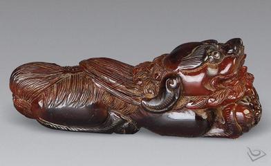 为了得到它，外国人残忍的掠杀，真正原因竟然是因为这个！