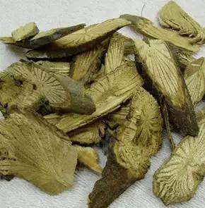 青风藤中药功效图片,青风藤特效单方验方