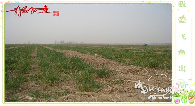 2016之我爱飞鱼觅得好钓点