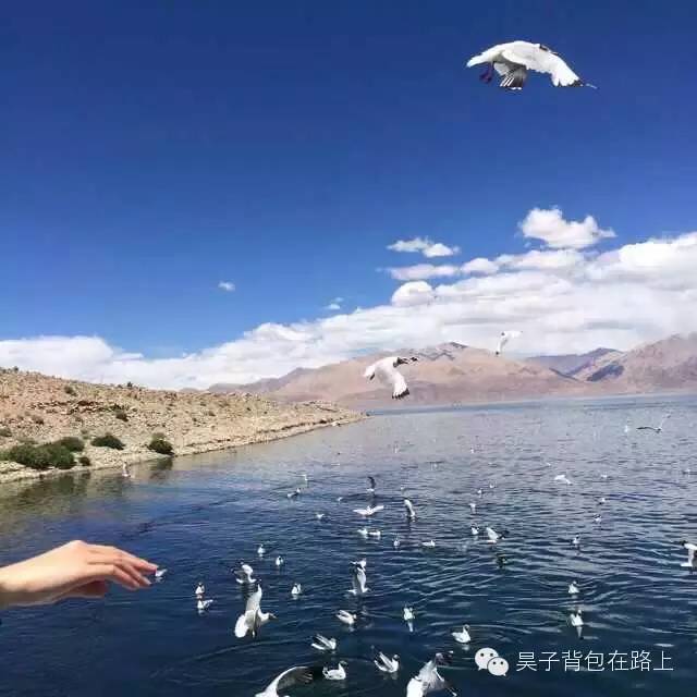 骑行新藏线阿里地区,骑行阿里大北线行程详细攻略