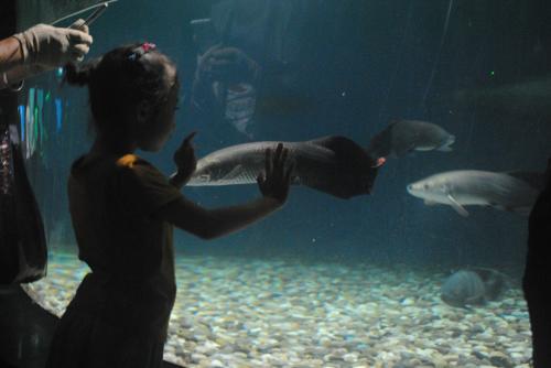 聊城海底世界晚上开放吗,聊城海底世界景区电话