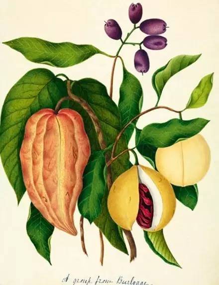 经典的书籍推荐100本好理解的书,北大公认100本好书