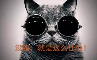 买了郑爽代言的「环球黑卡」，交了199RMB的智商税……