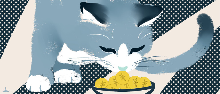 猫咪经济学家,猫咪经济学