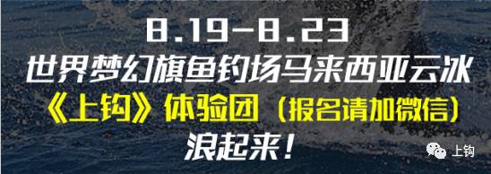 冬季海钓沉底钓鱼技巧,学校钓鱼技巧视频教程
