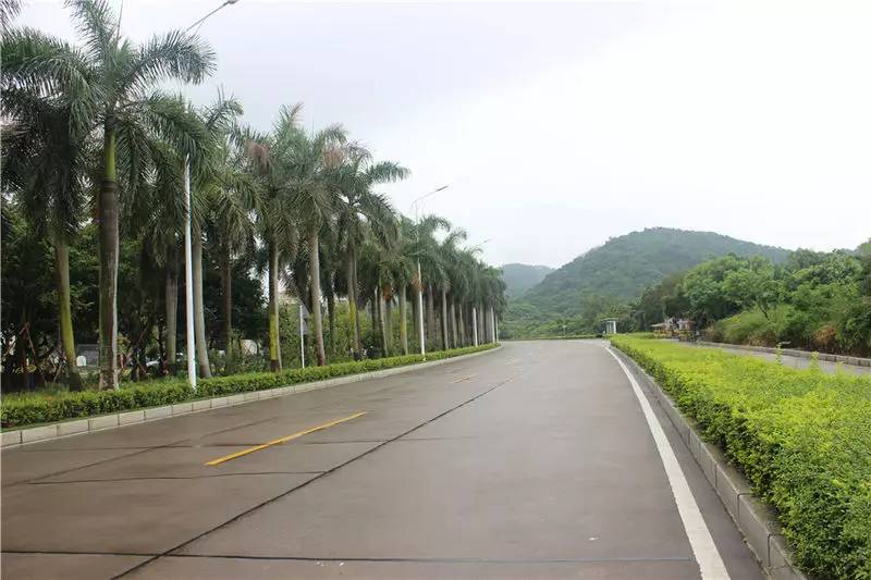 淇澳岛亲子游,一天时间玩转珠海淇澳岛