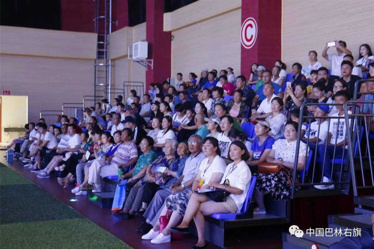 聚焦首播重播,聚焦完整版在线播放