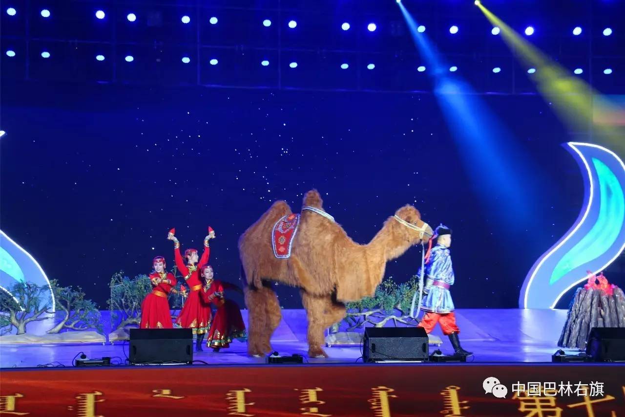 聚焦首播重播,聚焦完整版在线播放