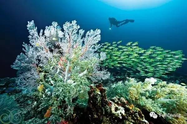 从入门级到朝圣级，船宿该怎么选？