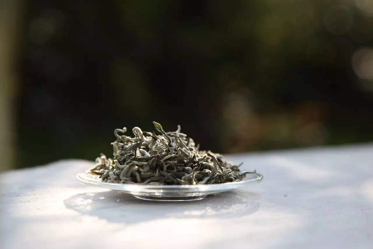 仓顺南糯白毫价格,南糯白毫是绿茶吗