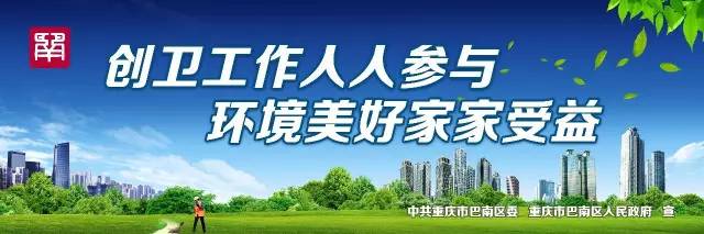 重庆非法集资大案,重庆非法集资案
