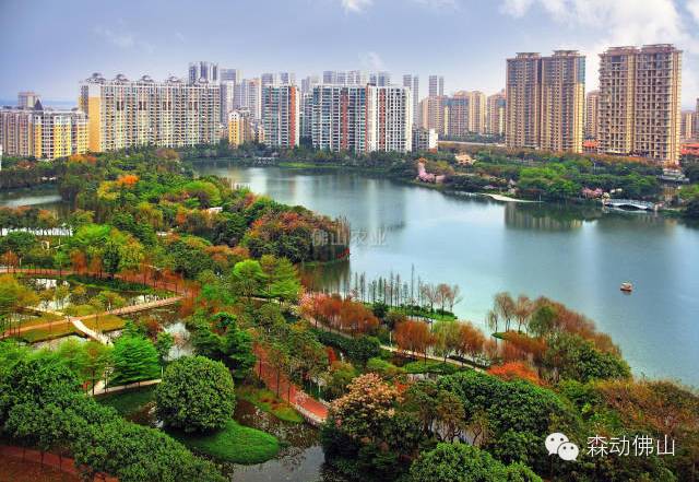 你好，我叫佛山，这是我的新名片！