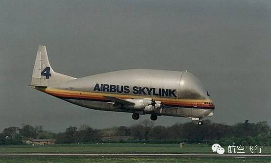 变异变形飞机,变异飞机鹦鹉