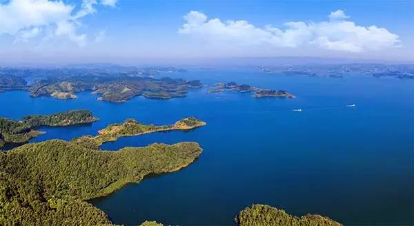 循香识味赏景尝鲜|看,鄂西北的山珍催促着我们追寻食物的脚步